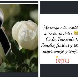 Meet your Posher, Jacky